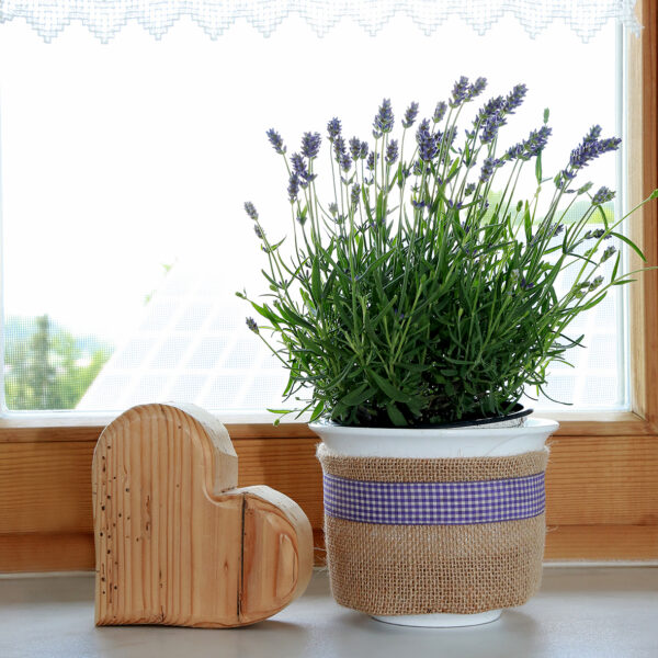 8491-177-FotoAnnetteJordan